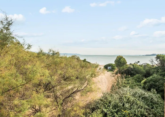 La Pinede - Maeva - 2 Pieces 5 Personnes - Confort Mae-6327 Lejlighed